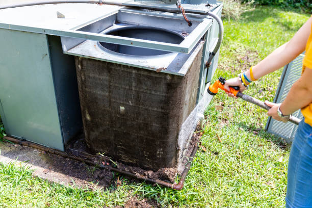 Best Home Air Vent Cleaning  in Shepherd, TX