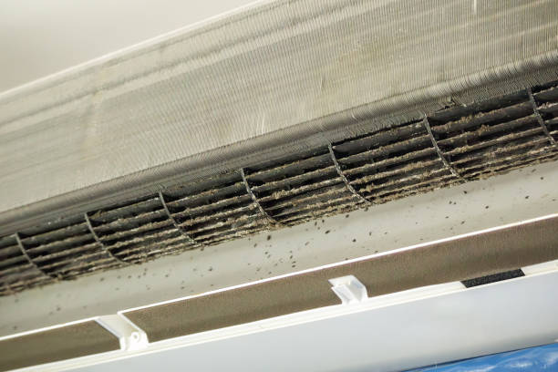 Best Best Air Duct Cleaning Company  in Shepherd, TX